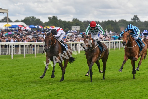150723-Race 4-Hamish-8708 - Race 4 3.45pm John Smith's Silver Cup Stakes