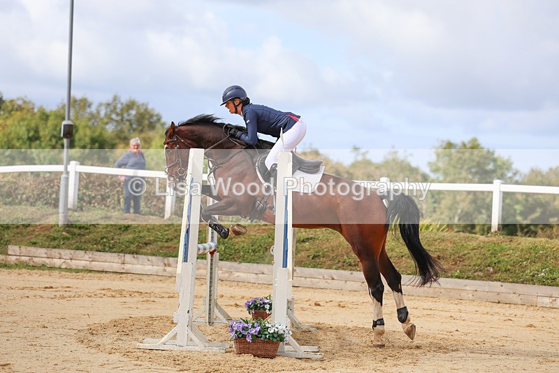 3E7A1995 - Class 4: Senior British Novice/90cm open