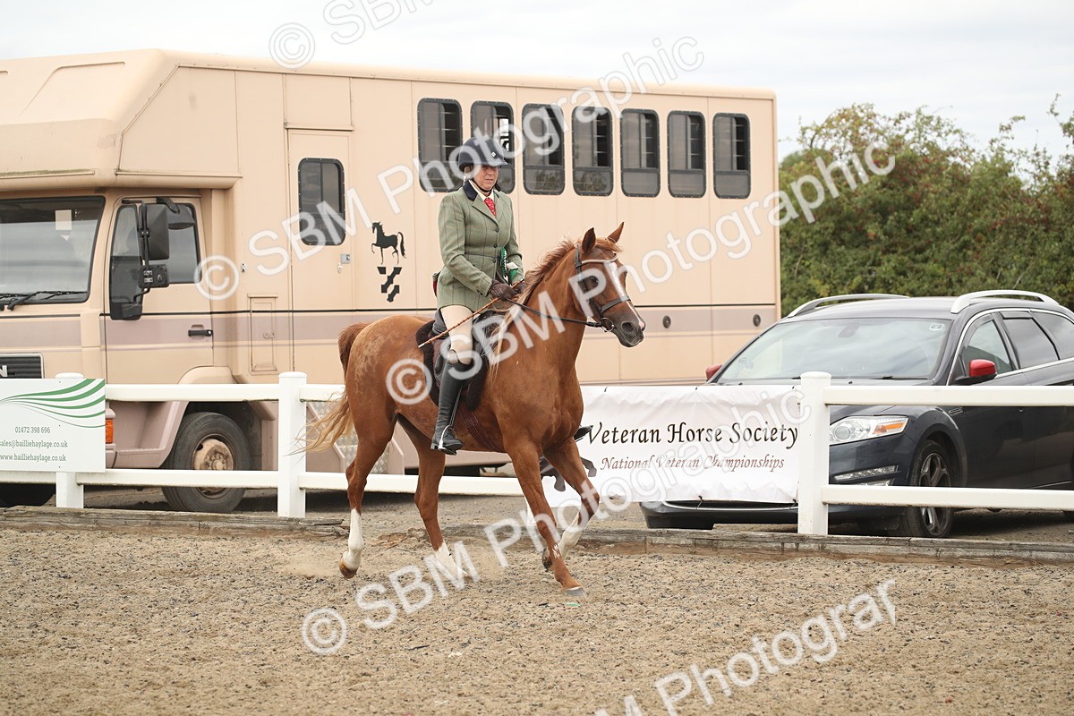 SBM_16852 - Class 507b - Working Veteran 60cm (20+)