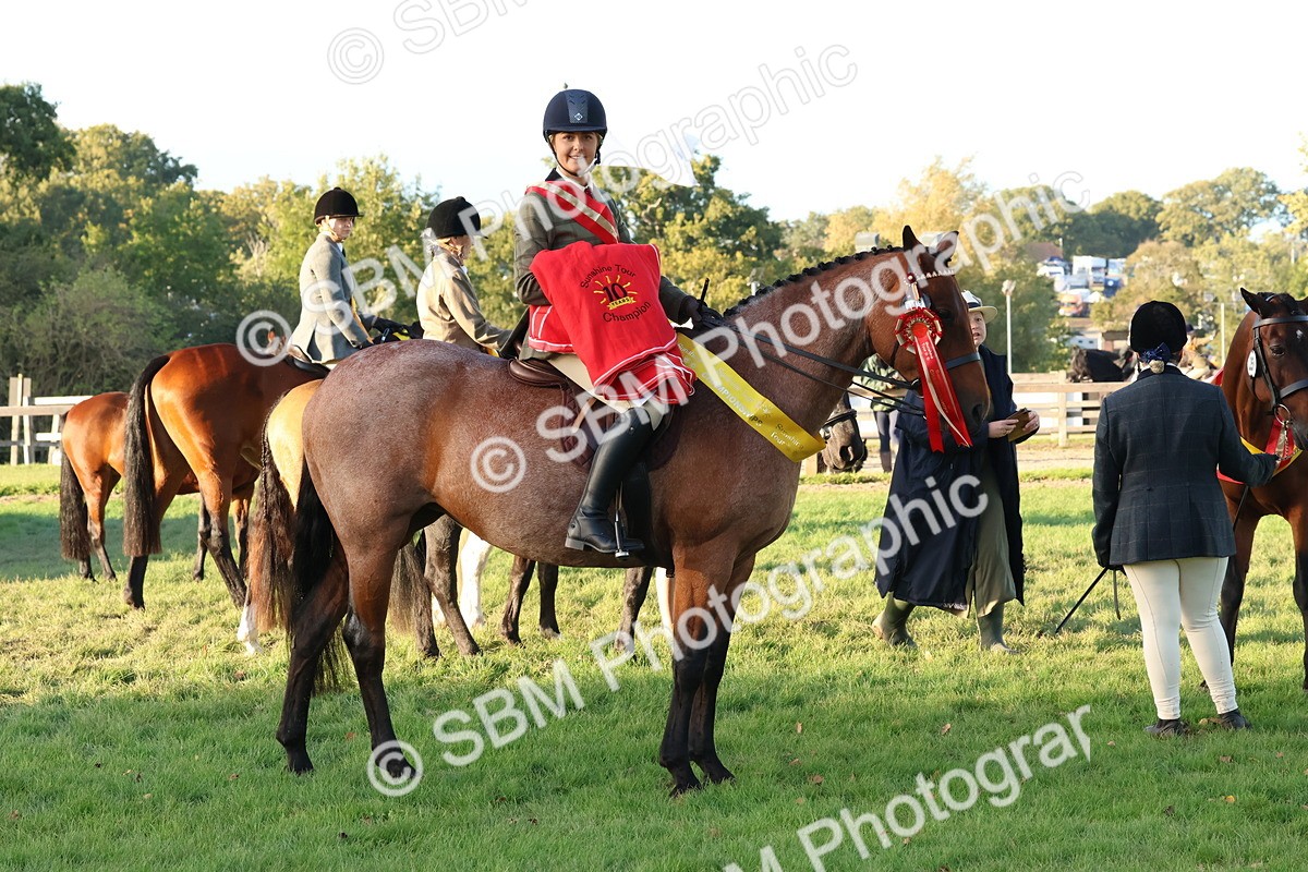 SBM_53176 - Veteran Supreme Championship