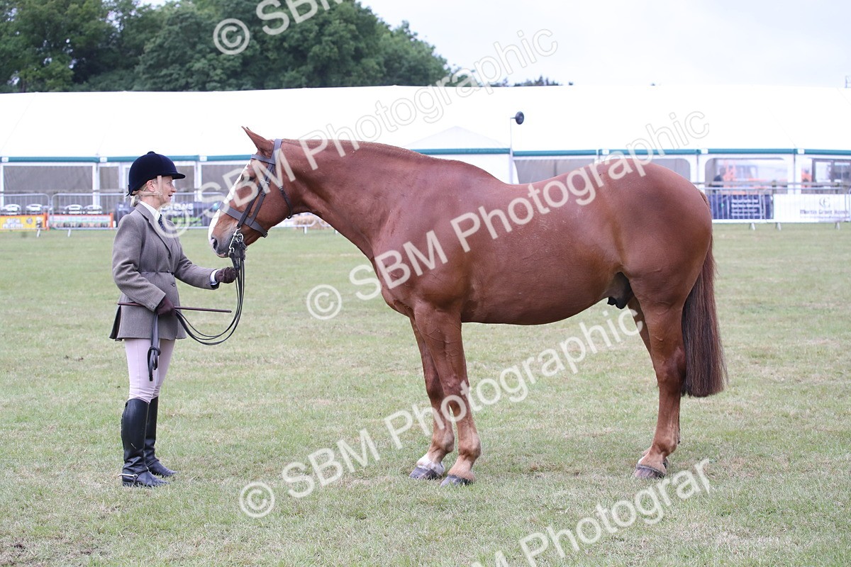 SBM_11273 - Class 92-93 - LIHS BSHA Rising Star Cobs