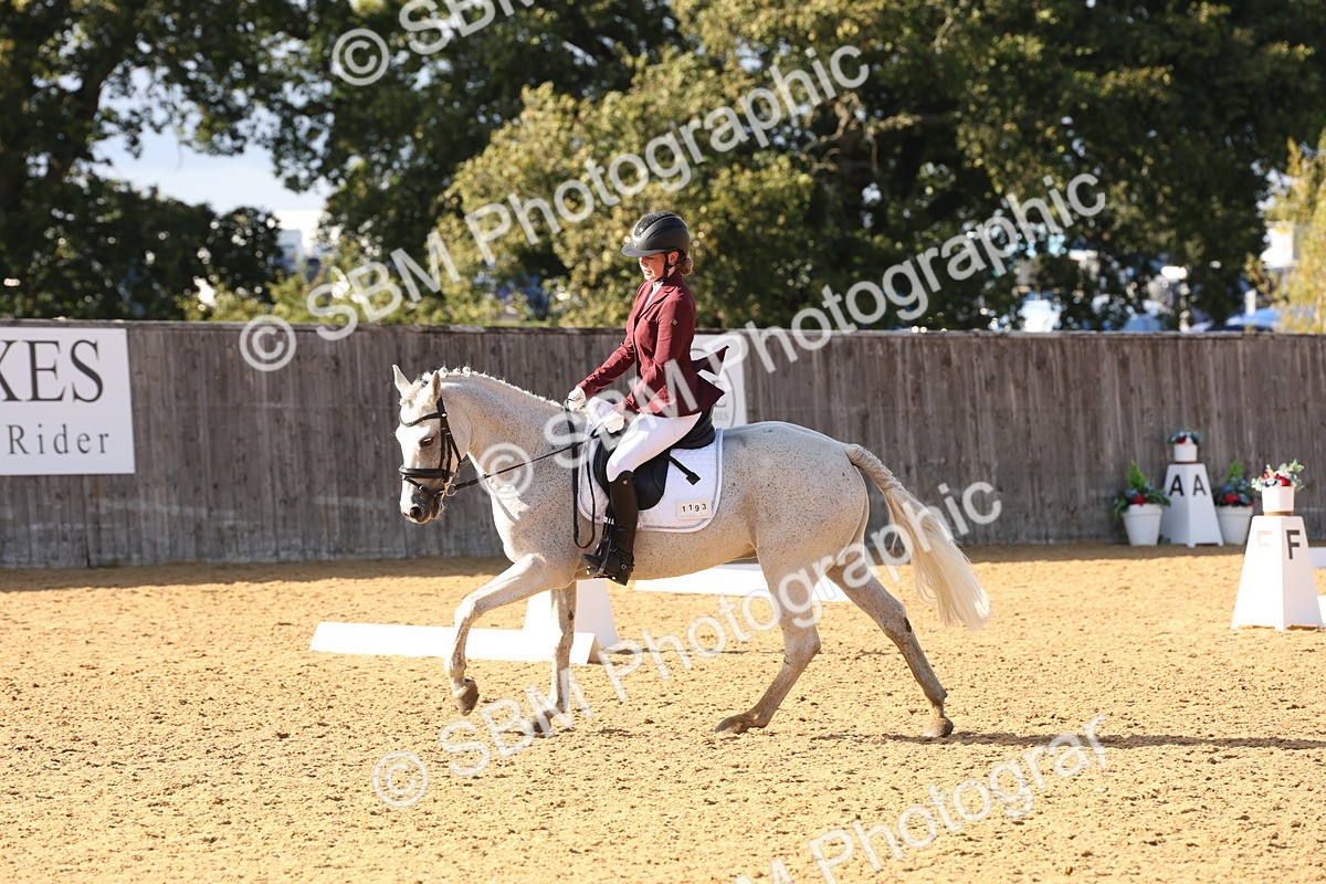 SBM_50471 - D12 - Small Tour Championship prelim 2