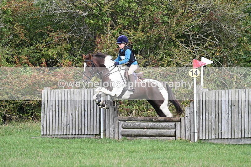 WJ7_8391 - 60cm Pairs