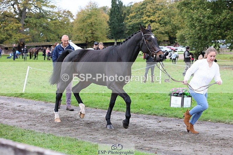 251026A-104722-23273 - F-402-Bethany.Hall