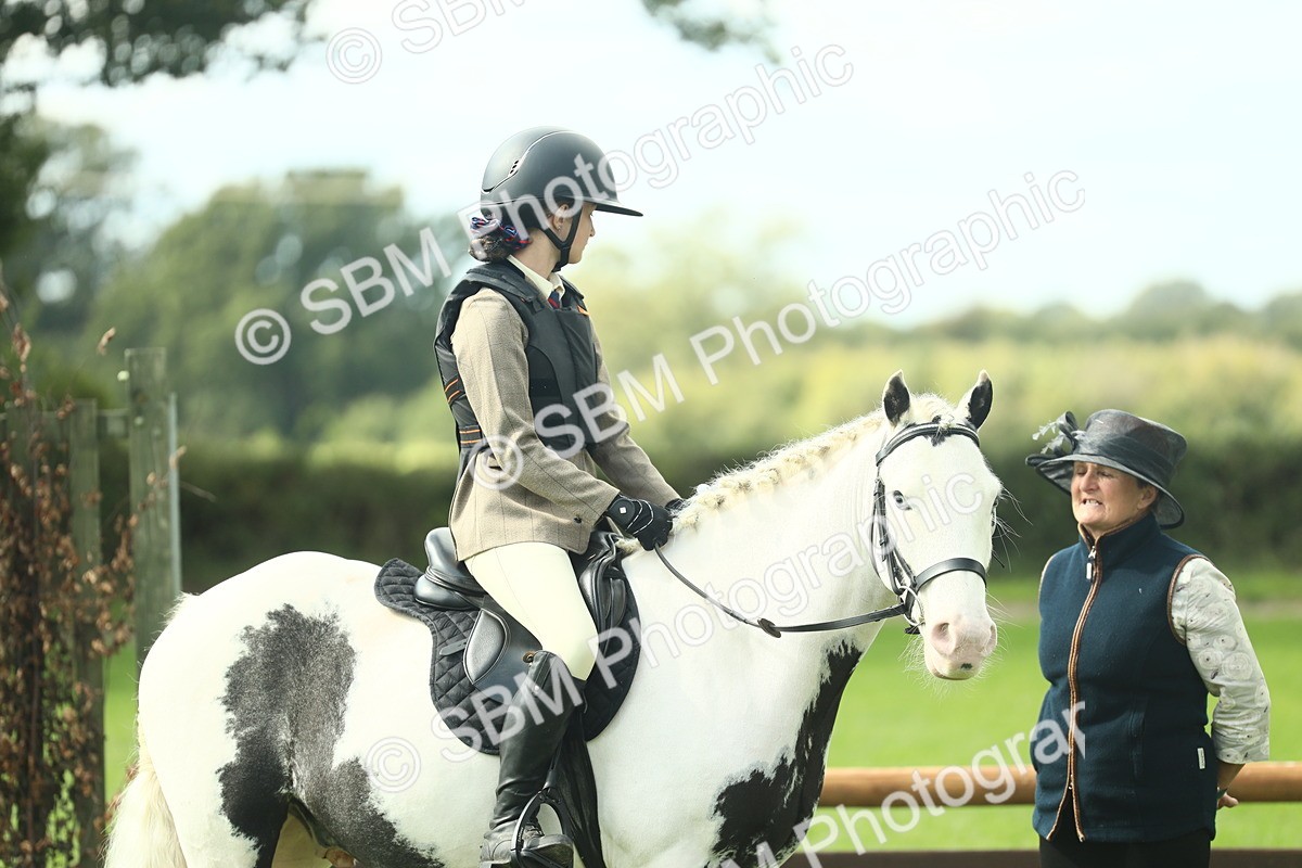 SBM_44694 - S31 - Working Hunter Pony