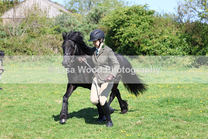 3E7A9878 - Class 17: Young Handler