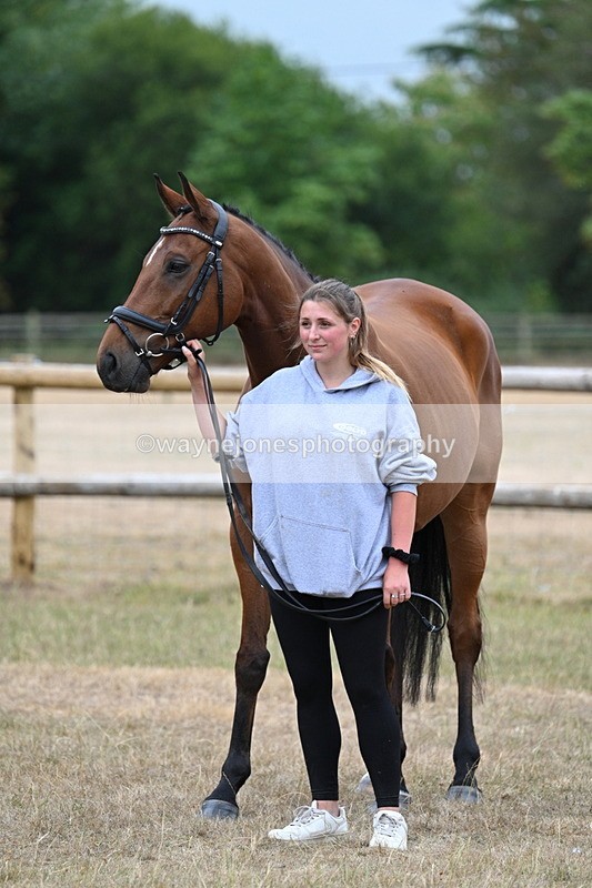 WJ7_9872 - Class 5a Most Handsome Gelding (above 14.2hh)