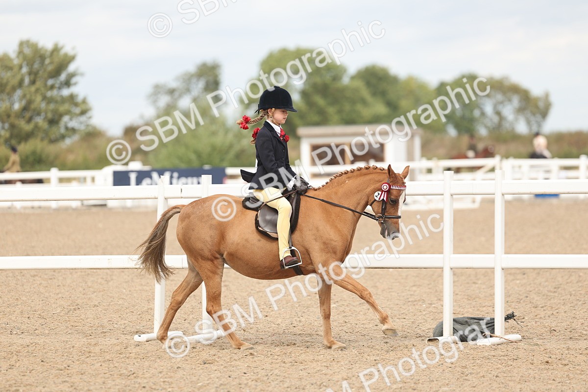 SBM_15986 - Class 311 - Ridden Show pony-Show hunter Pony