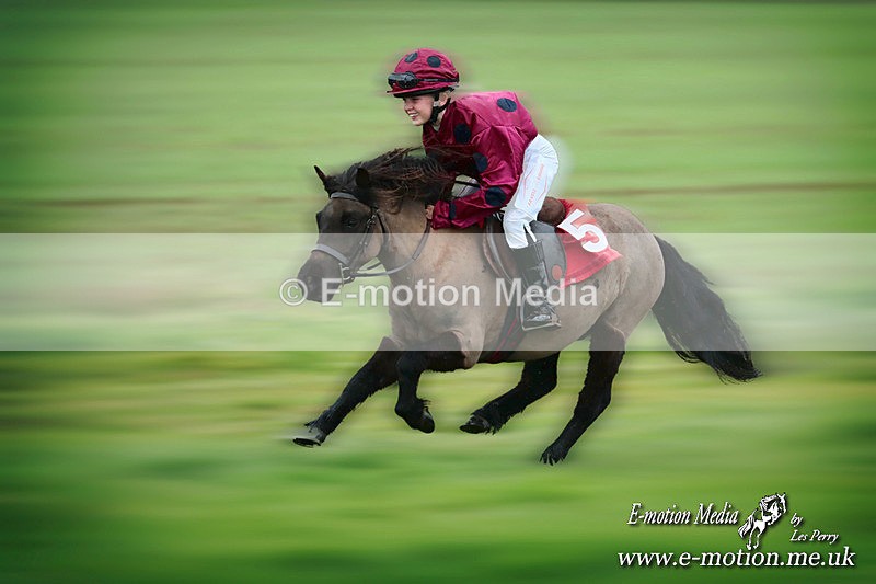 SHETPR 210425 120b - Shetland Ponies Paxford Races 21/04/25