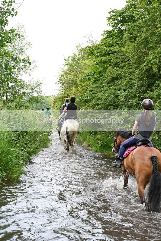 WJ7_1914 - Camera 2 Water Crossing