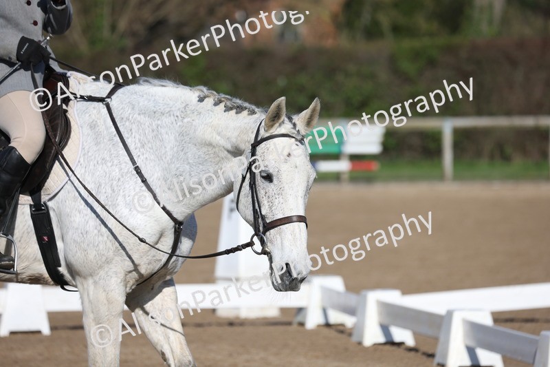 20260214-0326 - Class 4 - Novice 2