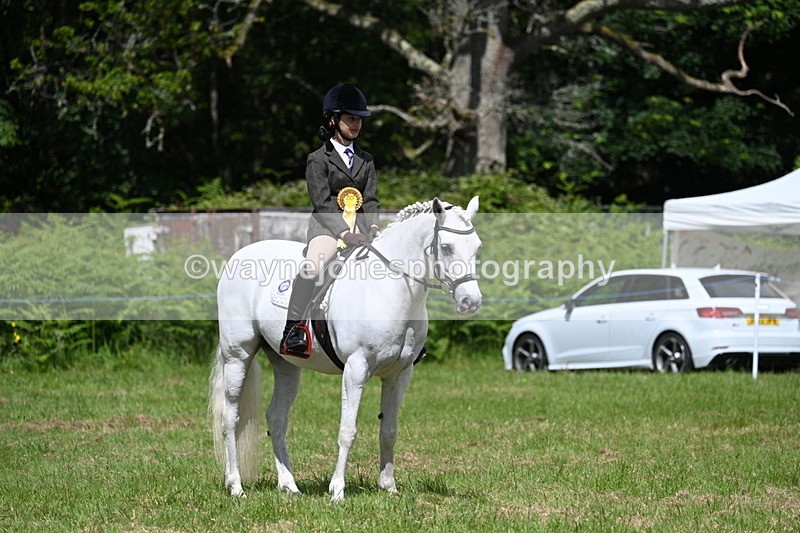 WJ7_1862 - Class 9 Pony Club Pony