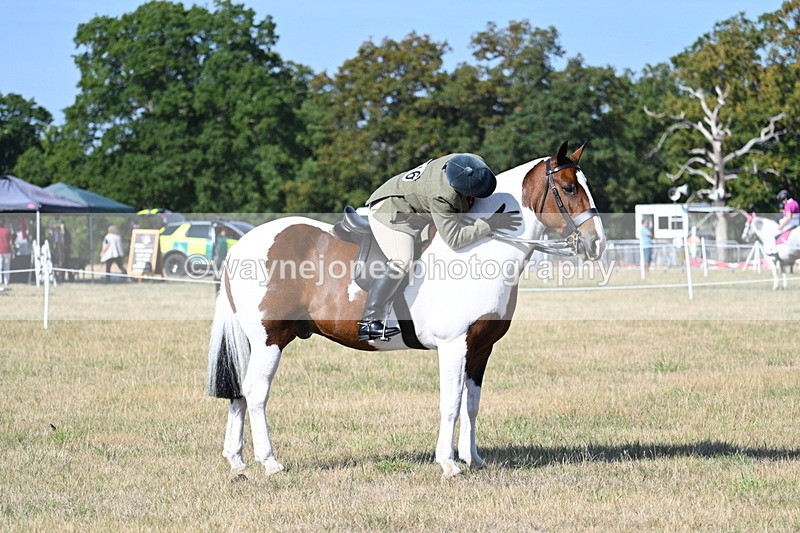 WJ7_2967 - Class 8 Ridden Tack & Turnout
