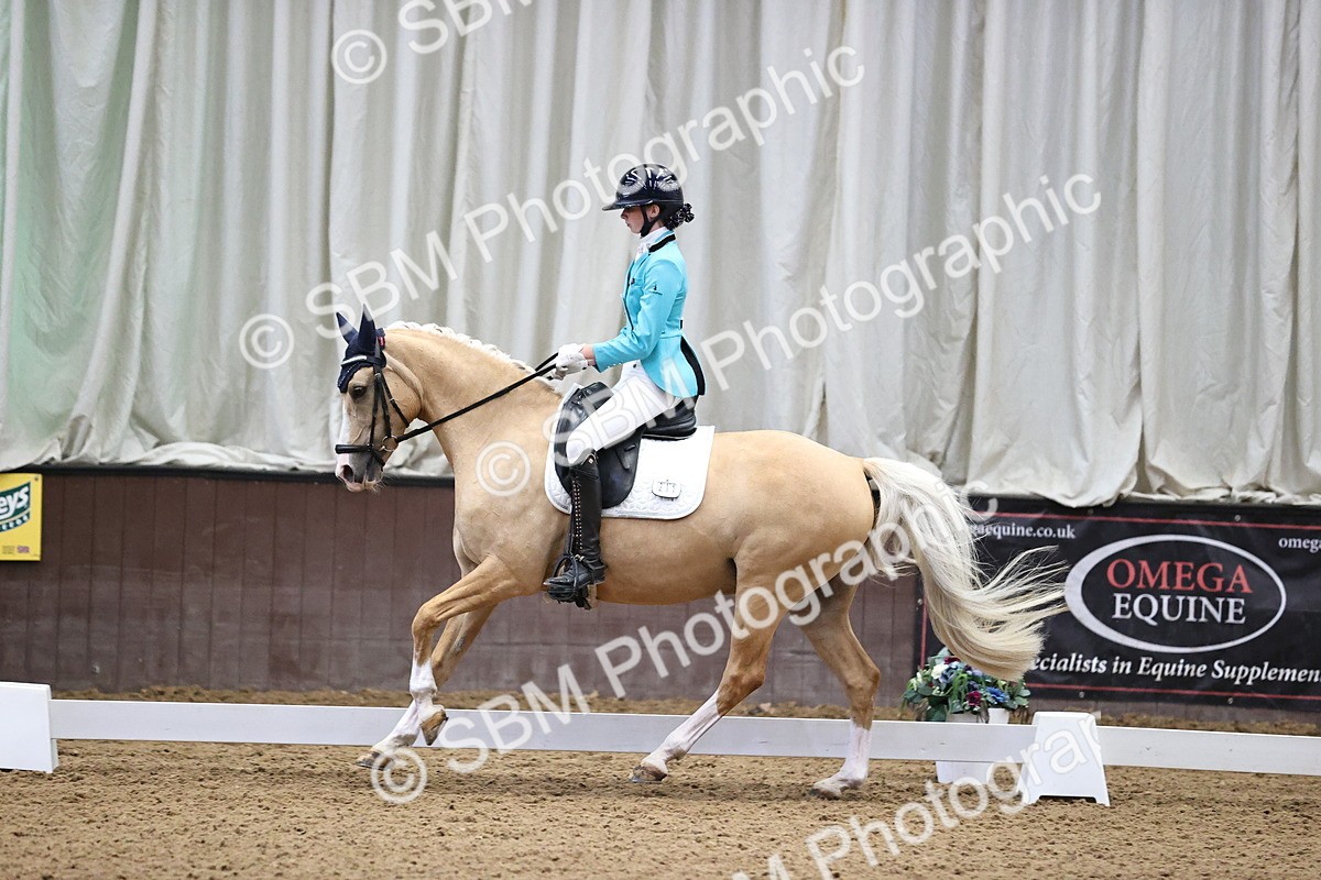 SBM_008315 - Class 15 - FEI Junior Pony Team-YR-COH