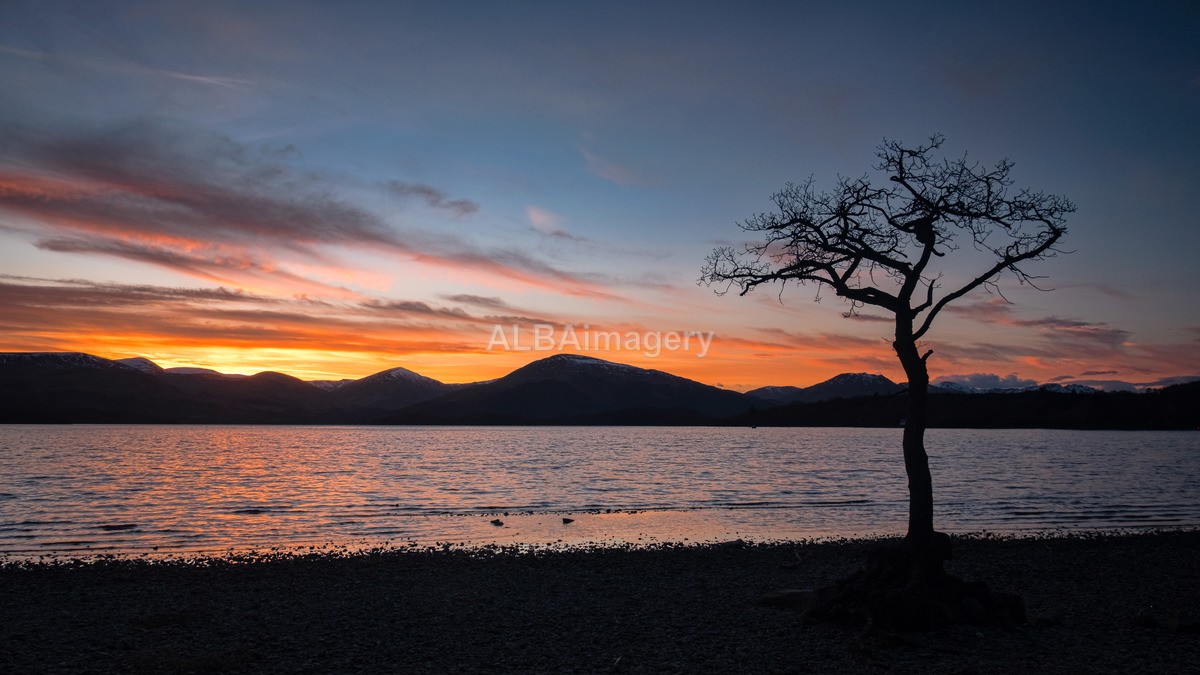 Milarrochy Bay - My Scotland - The Landscapes
