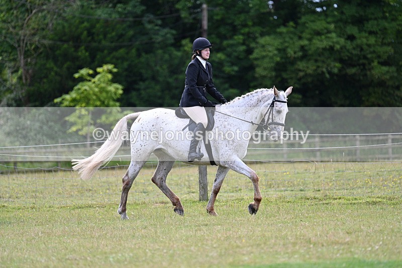 WJ7_8498 - Class 7  Riding Club Show Horse