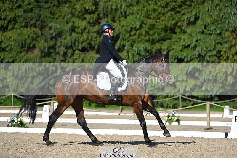 230526-172006-07576 - 262-TREAMBLE-Finn_Healy-WEDTrotUp+DR