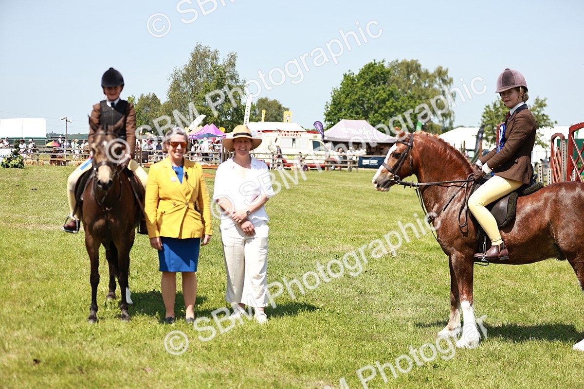 SBM_15821 - Class 108-109 - BSPS LIHS Open Gradle & Nursery Stakes