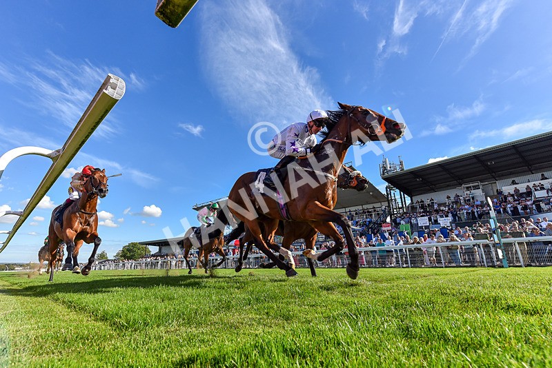 220926-Race 4-Toca Madera-7519 - Race 4 3.15pm Eddie And Violet Smith Conditions Stakes
