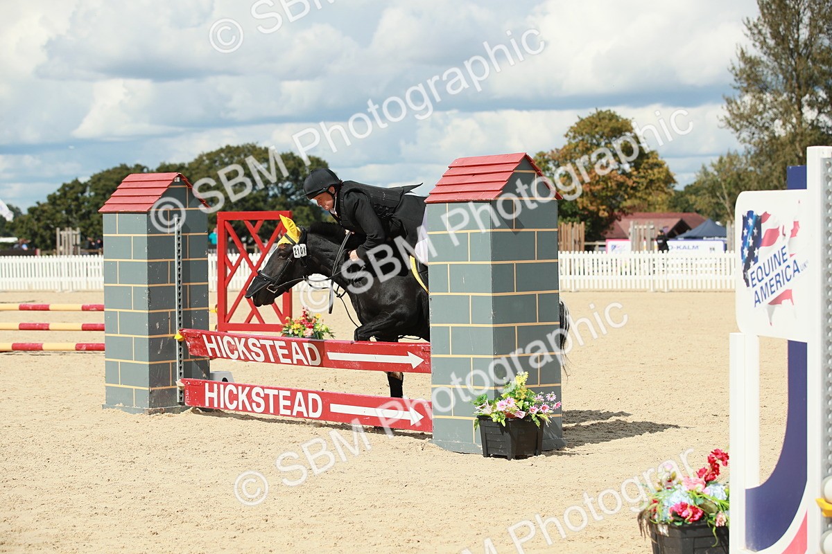 SBM_06215 - J29 Senior 65cm Championship
