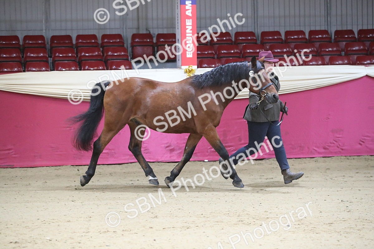 SBM_00258 - Class 1a - Area IH Diamond