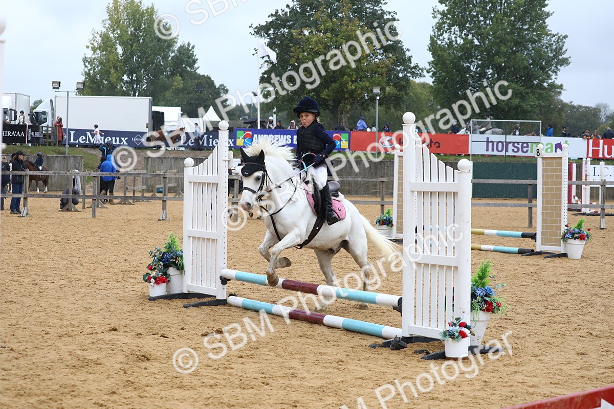 SBM_71993 - J3b - Mini Tour Junior Pony 40cm Championship