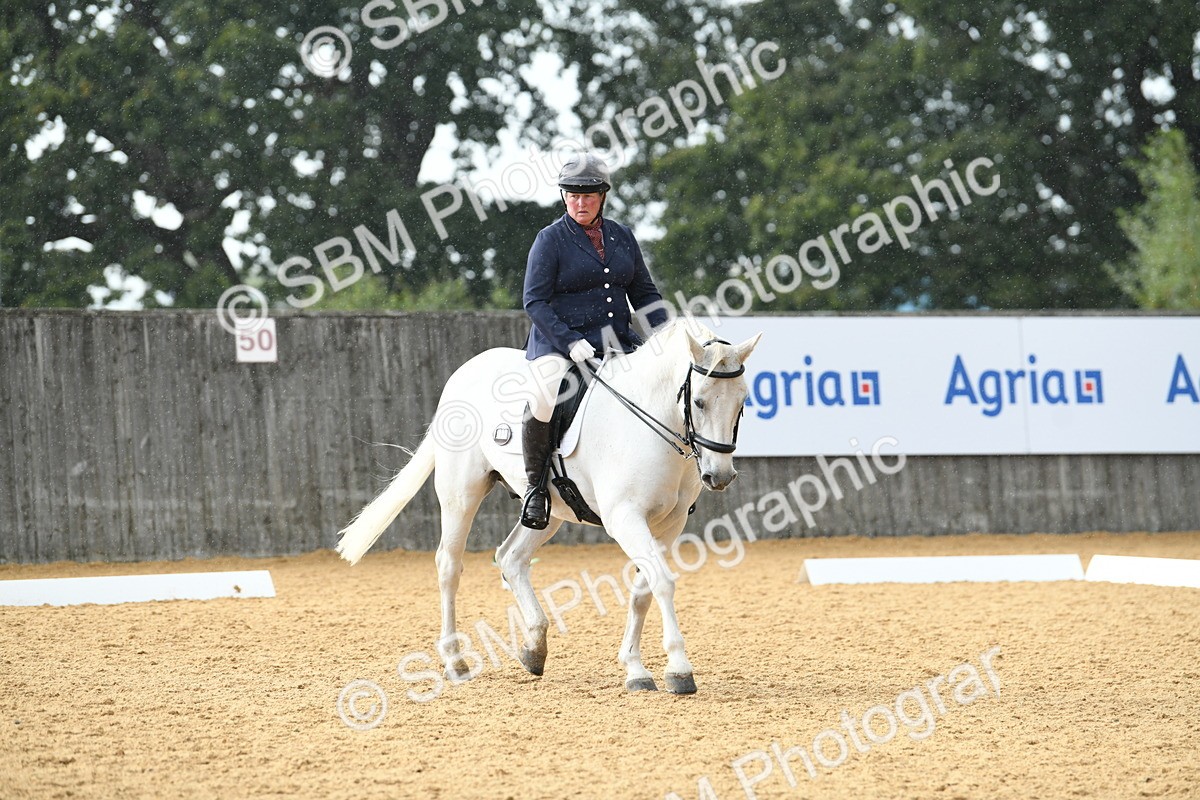 SBM_11106 - D28 Elementary Taster Elementary 42