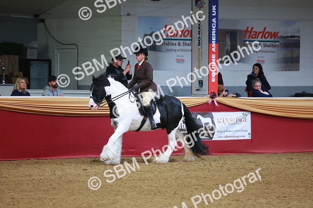 SBM_09752 - Class 102 - HOYS Veteran Qualifier - Ridden Veteran