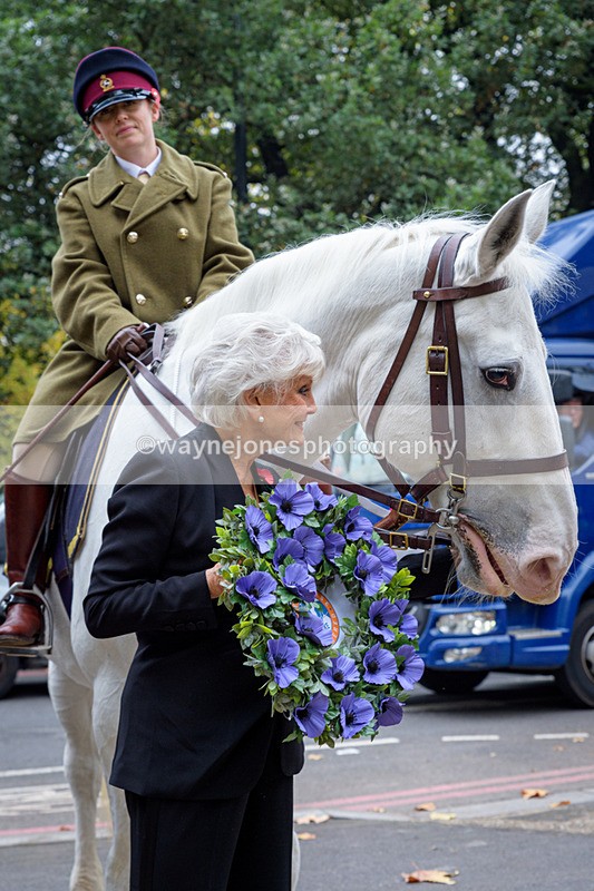 NGP_8154 - 2024 Animals in War Remembrance Gathering