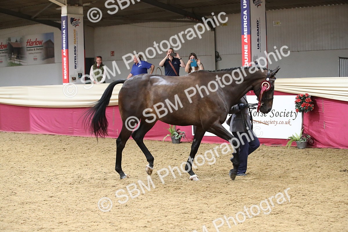 SBM_05834 - Class 9R - Regional IH Pre-Vet