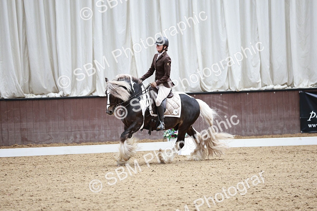 SBM_006034 - Class 17 - Advanced Medium FSM - 13.44-14.48