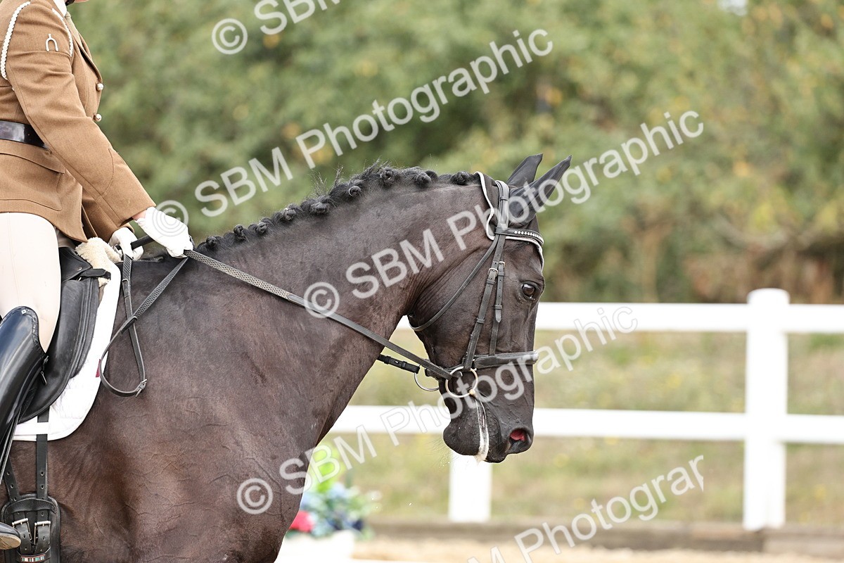 SBM_018258 - Class 16 - Novice 5 - 11.12-12.01