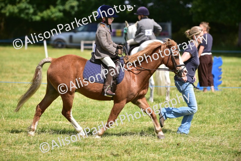 20260614-1176 - Class 11a - Lead Rein Pony (Unplaited)
