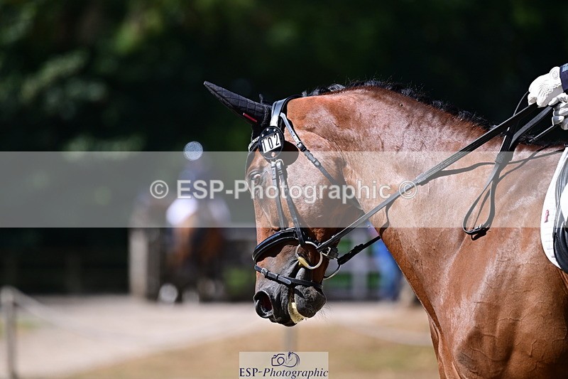 260731A-110215-00384 - Elementary Silver 11- Break