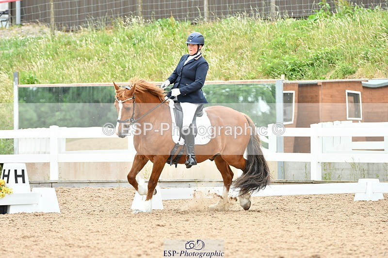 230630A-115101-01705 - Cls 7 Elementary 45