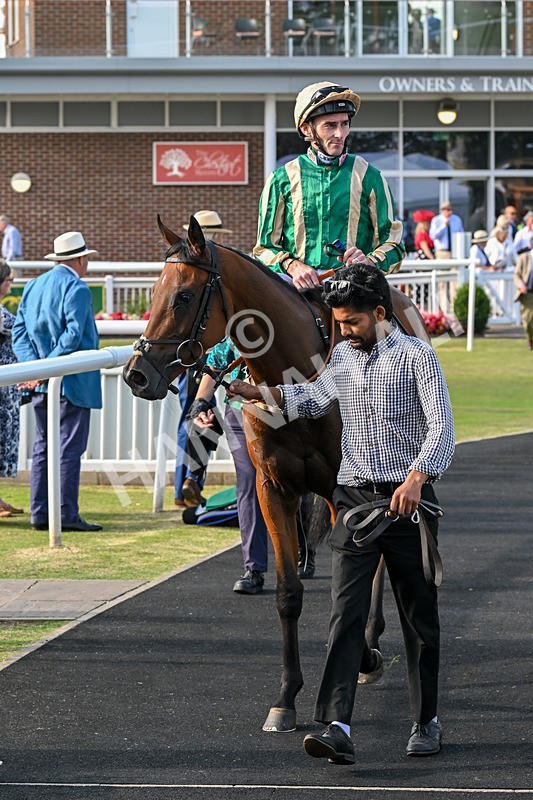 300824-Race 7-The Crafty Mole-6504 - Race 7