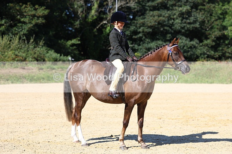 3E7A7921 - Class 14: Tack and Turnout