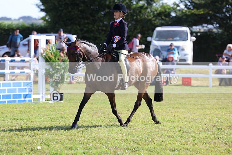 3E7A4040 - Supreme Championship