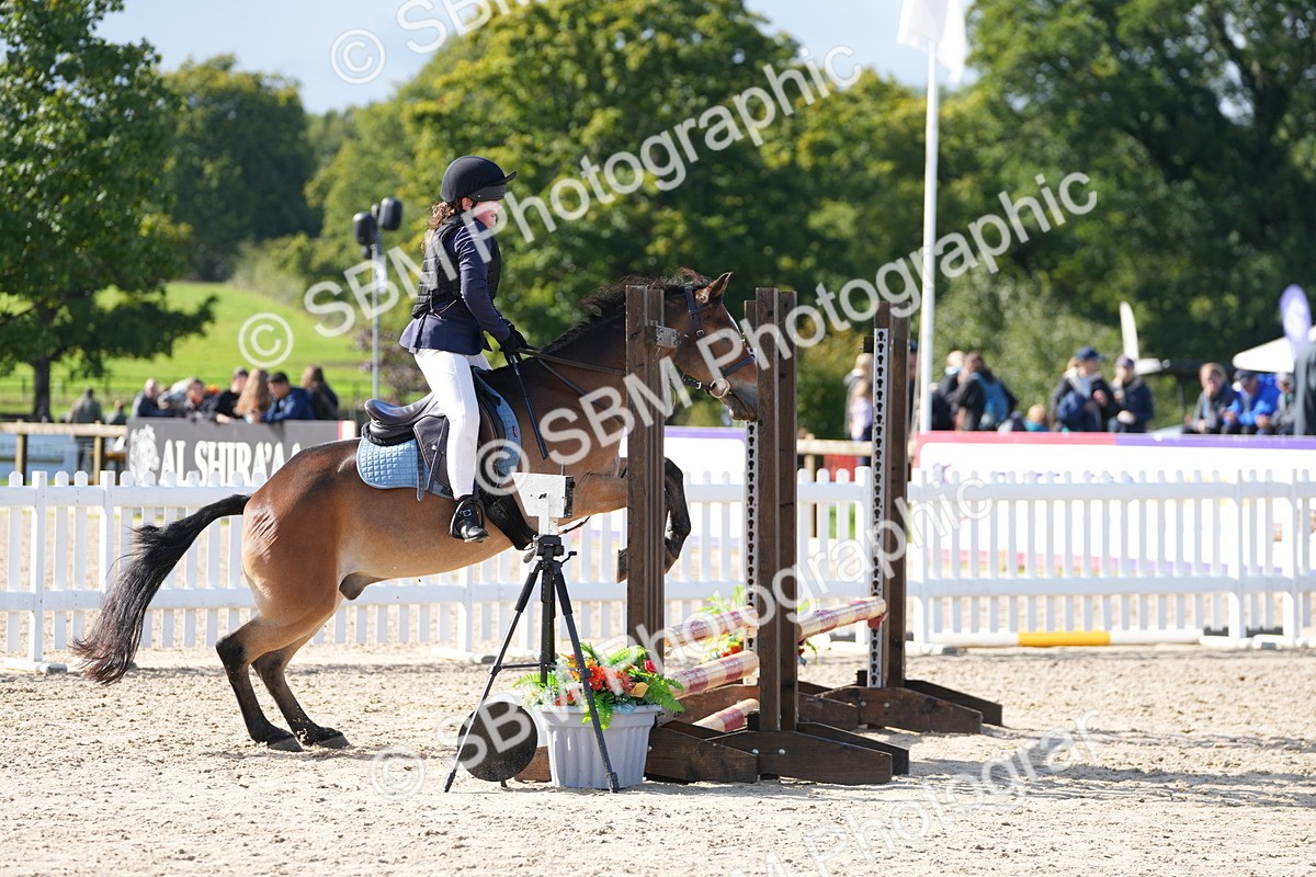 SBM_38224 - J6 - Junior Pony 55cm Championship
