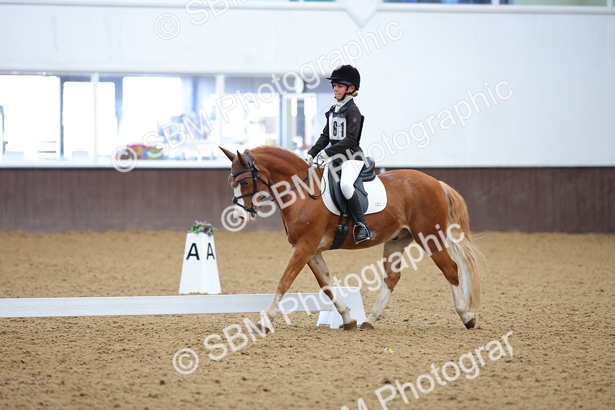 SBM_002954 - Novice