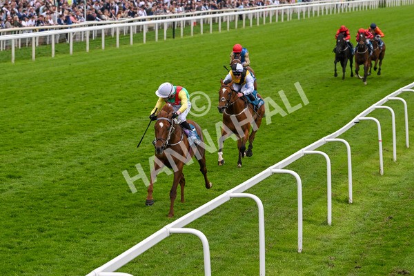 250524-Race 6-Primo Lara-4221 - Race 6 4.30pm Royal Yorkshire Regiment Handicap