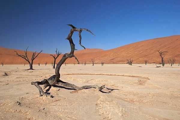  - Namibia