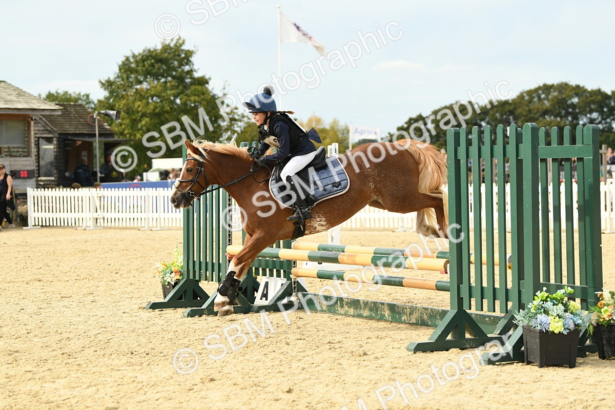 SBM_71038 - J15 - Junior Pony 70cm Championship