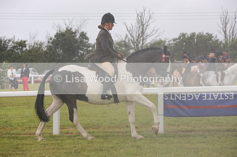 1X9A3014 - Class 26: Ridden Plaited Coloured Pony