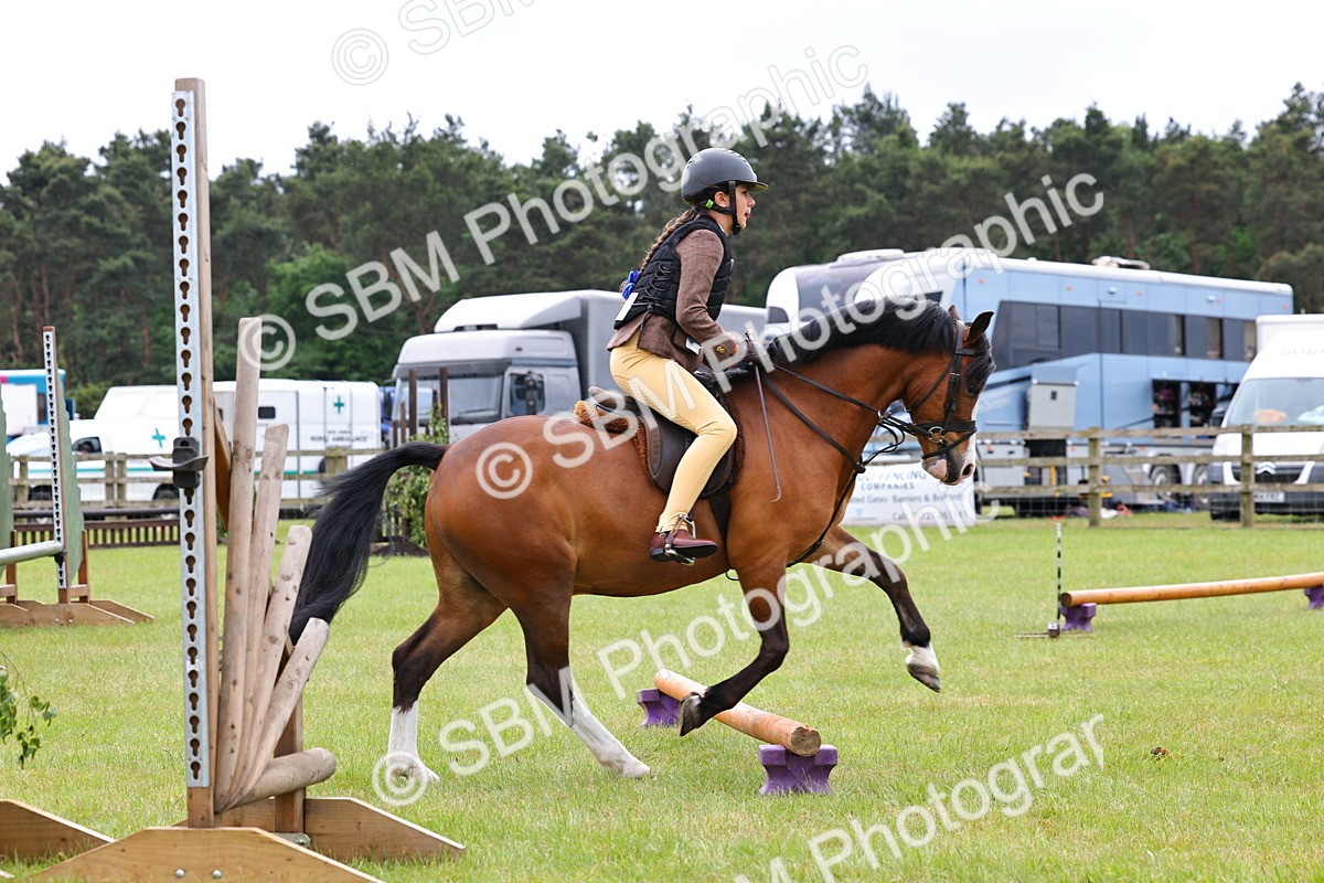 SBM_08614 - Class 42-43 - LIHS BSPS Heritage Working Sports Pony