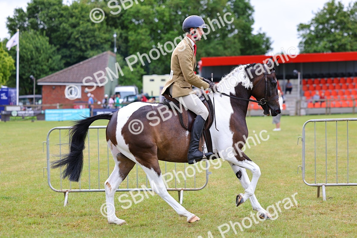 SBM_02609 - Class 9-11 Side Saddle including LIHS Rising Star Ladies Show Horse