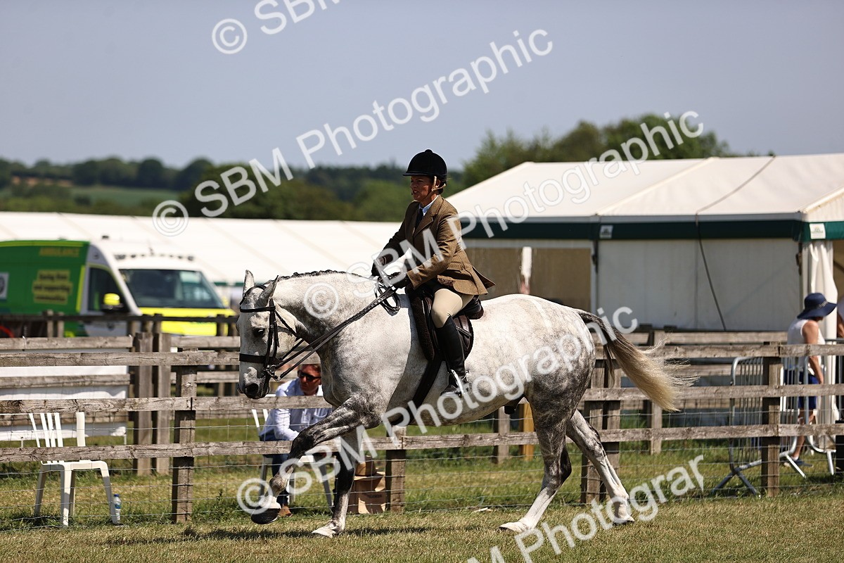 SBM_17734 - Class 81-83 - TSR Ridden Amateur of the Year - Horses