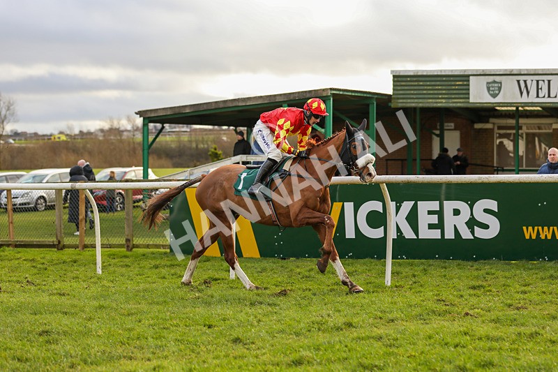 020224-Race 4-Treaty Boy-6836 - Race 4