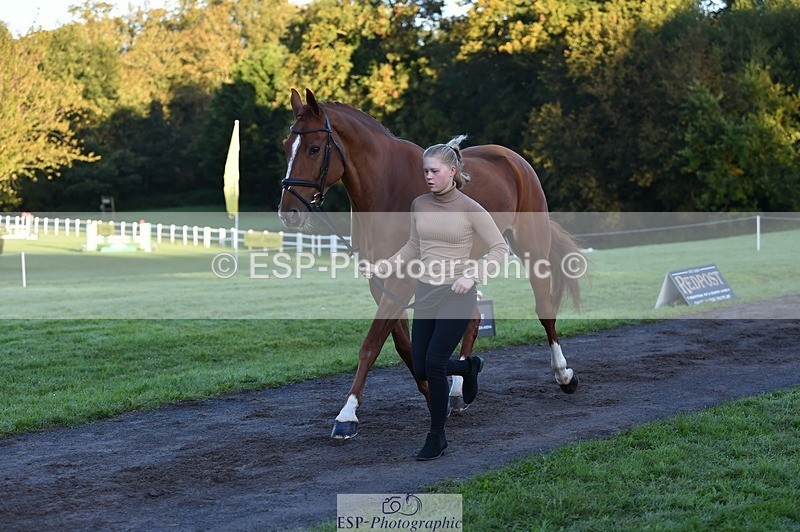 231022-084844-21374 - 643-MIH.TOPGUN-Ellie.Nicholson-TrotUp+SJ