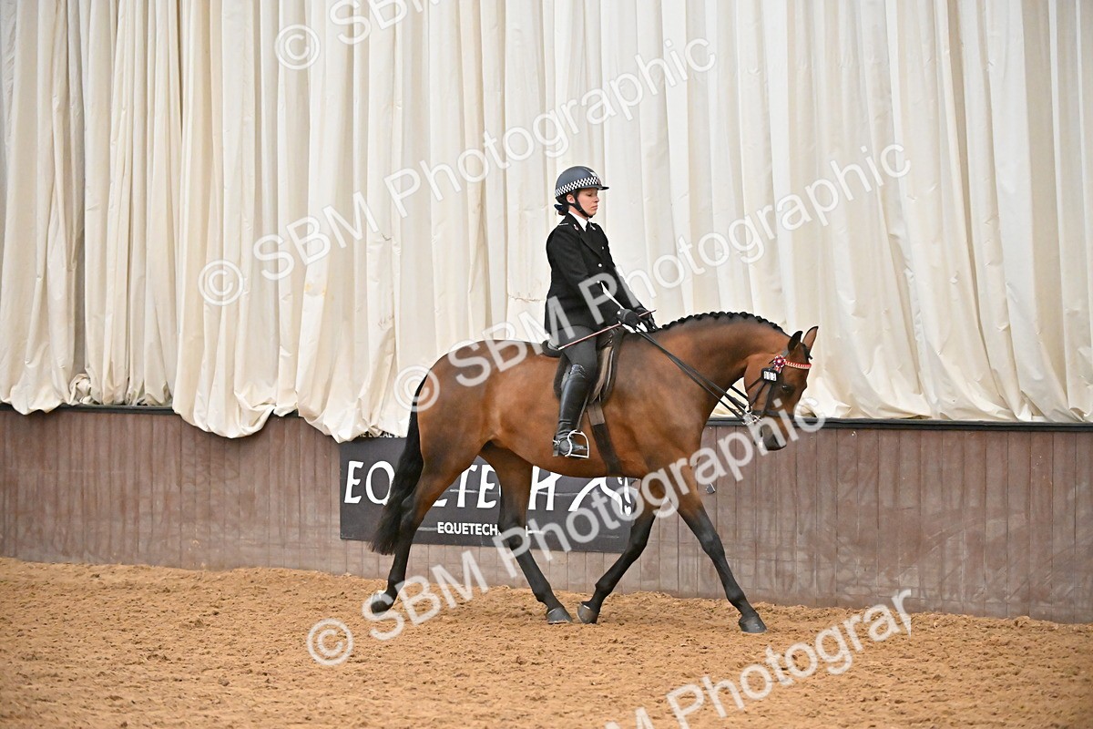 SBM_002336 - Class 22 - BSHA Ridden Hack & Riding Horse